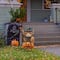 Glitzhome; Glitzhome® 30" Halloween Metal Painted Highland Cow Yard Stake; Category:Halloween Yardstakes; Image:4
